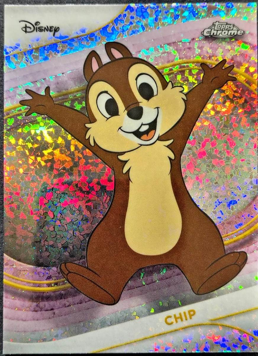 Chip