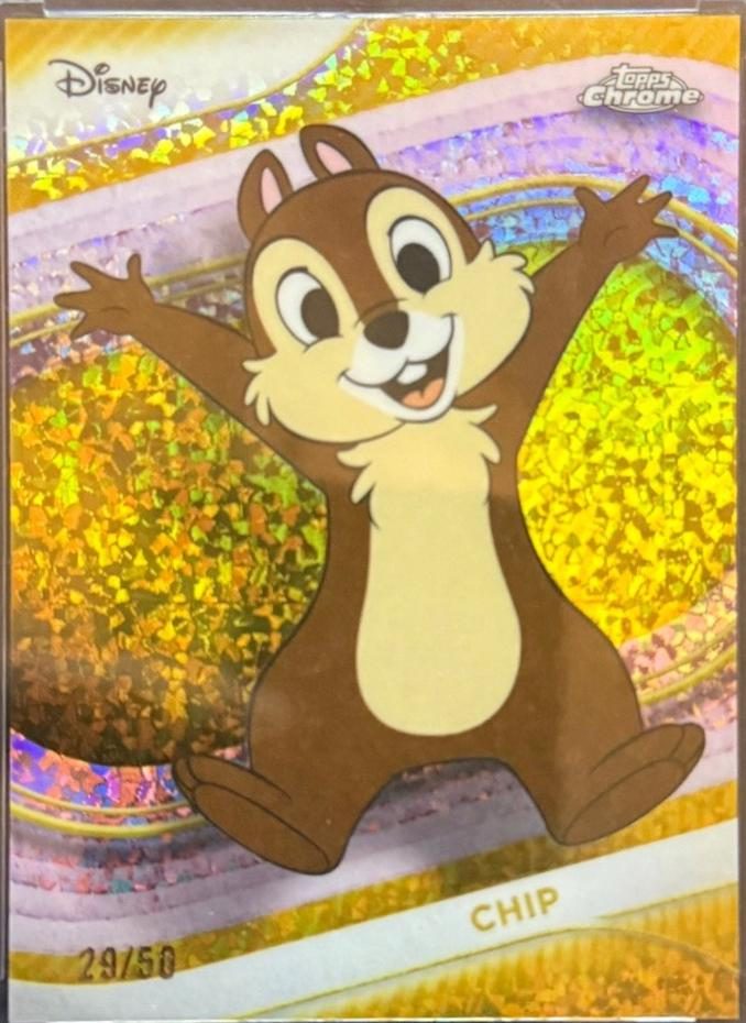 Chip