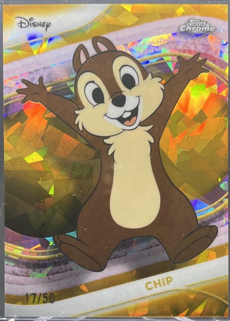 Chip