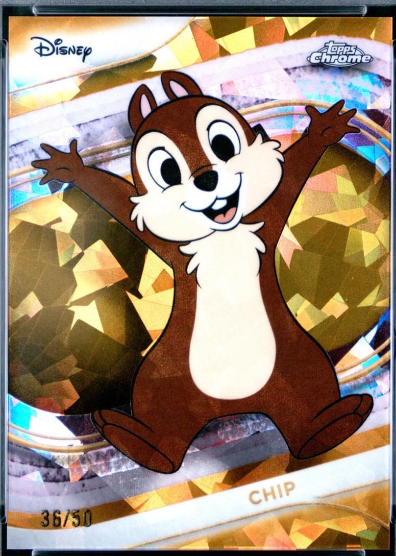 Chip
