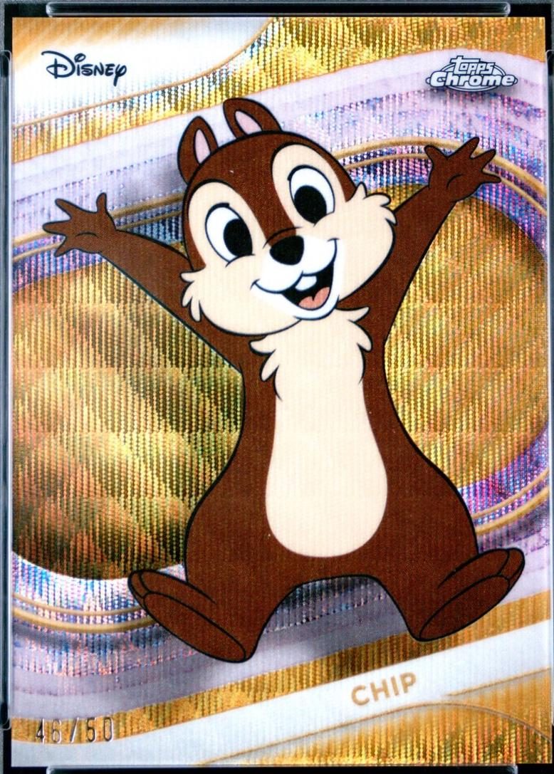 Chip