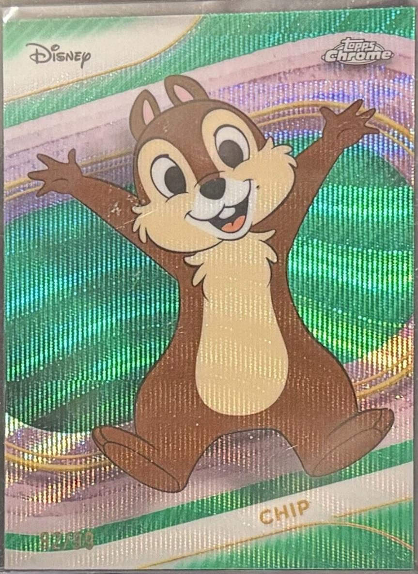 Chip