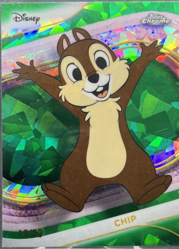 Chip