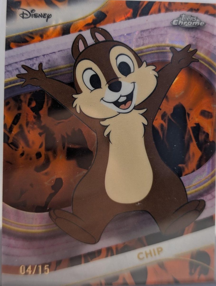 Chip