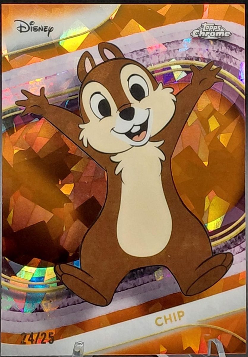 Chip