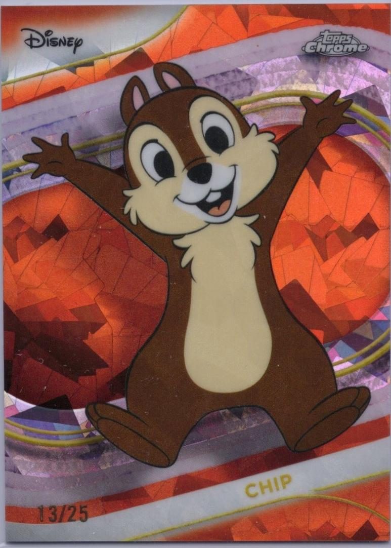 Chip