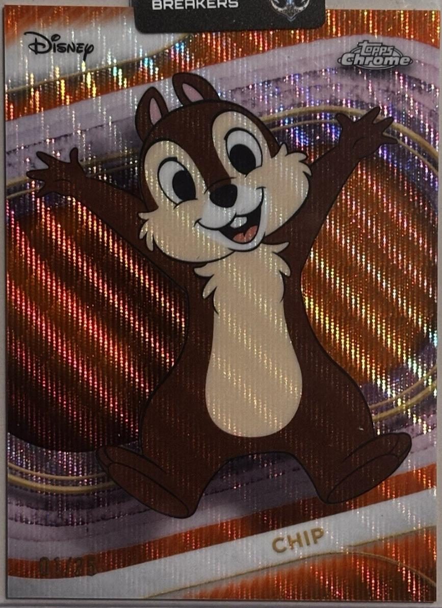 Chip