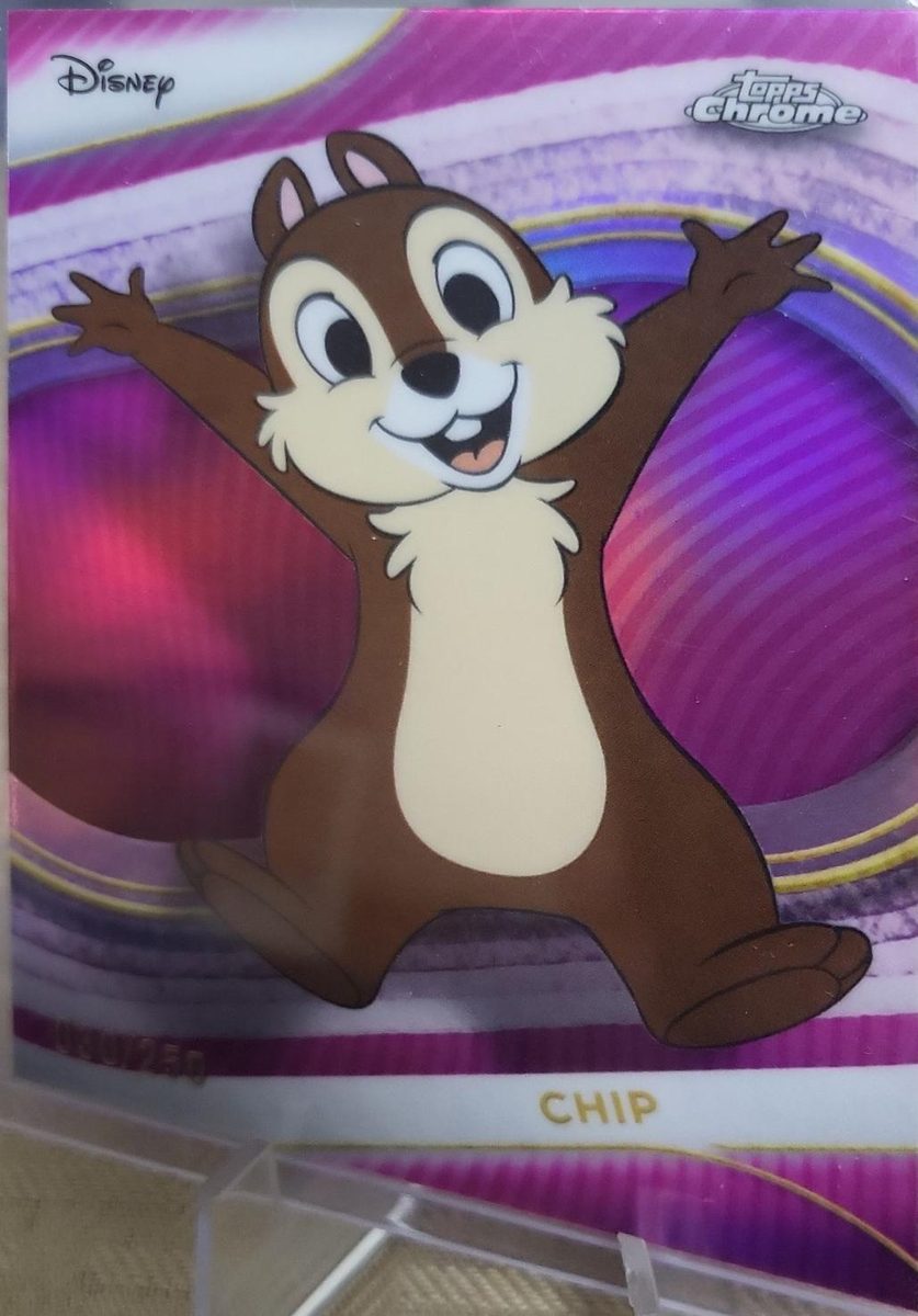 Chip