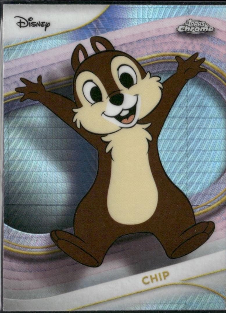 Chip