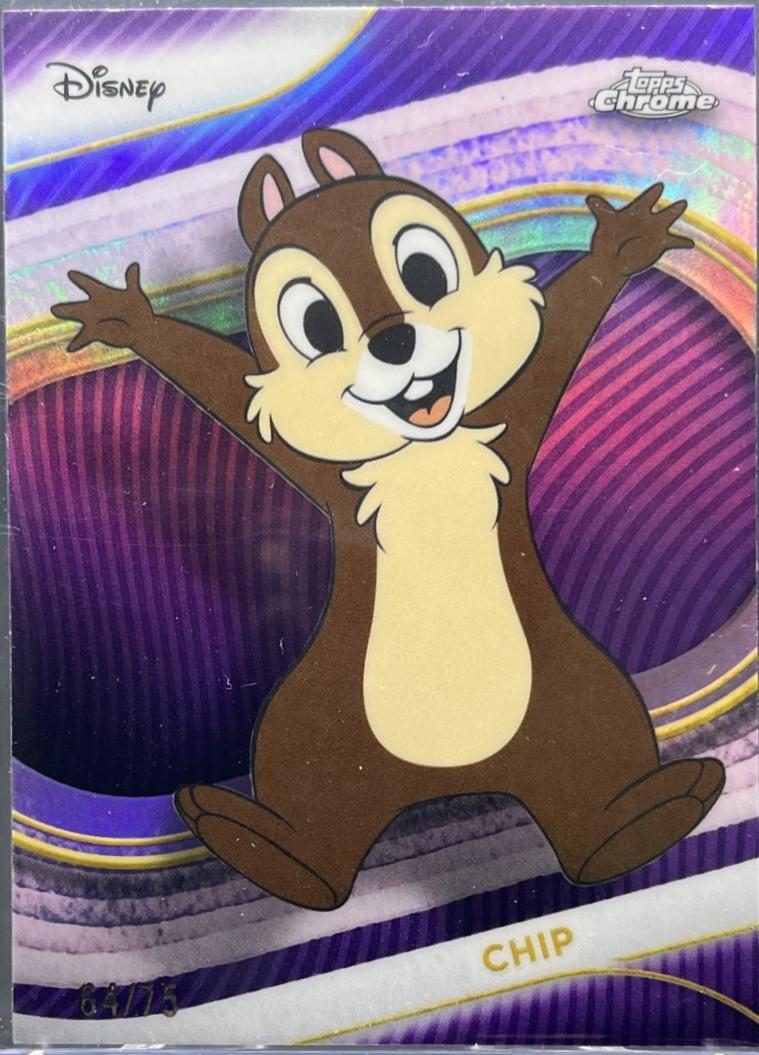 Chip