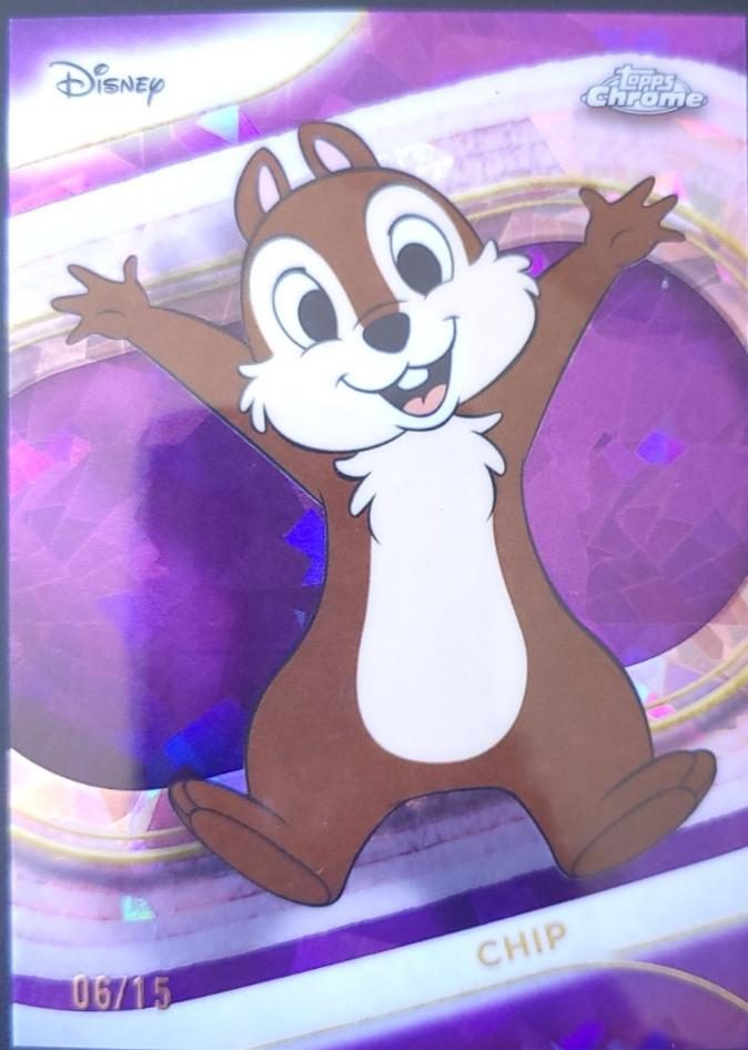 Chip