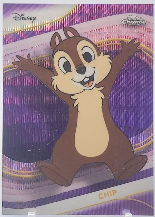 Chip