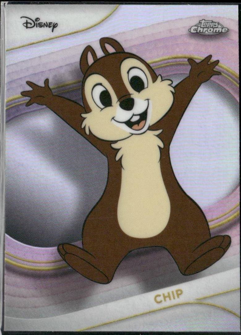 Chip