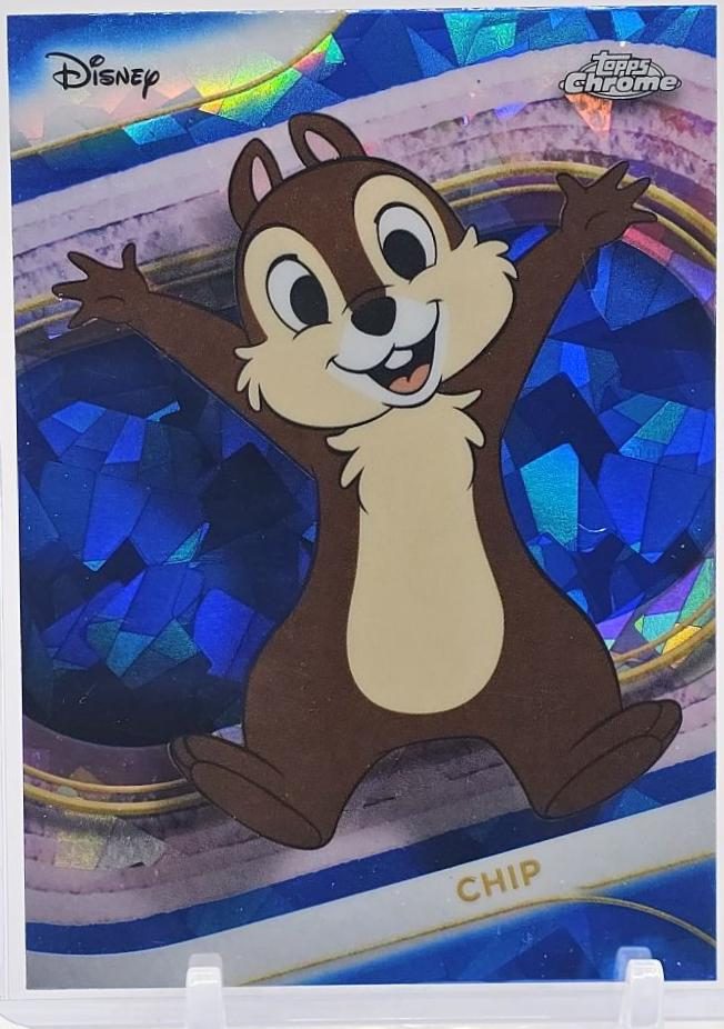 Chip