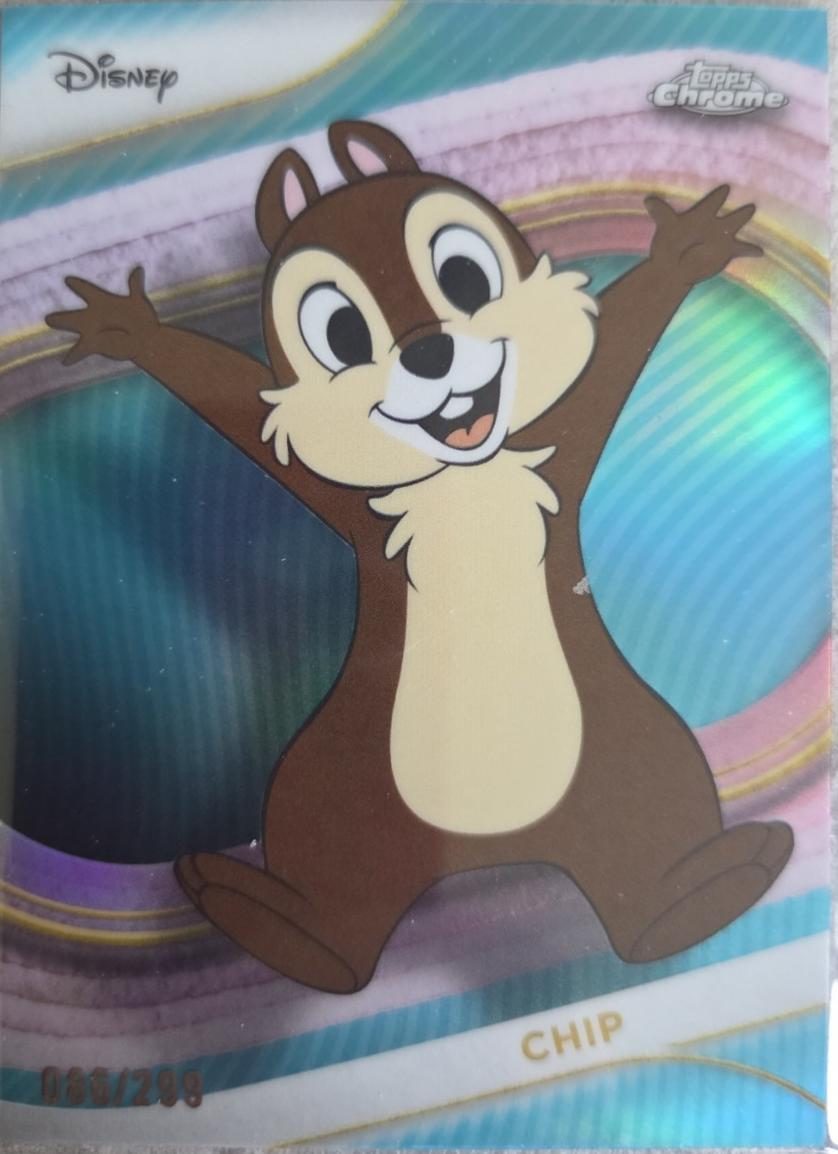 Chip