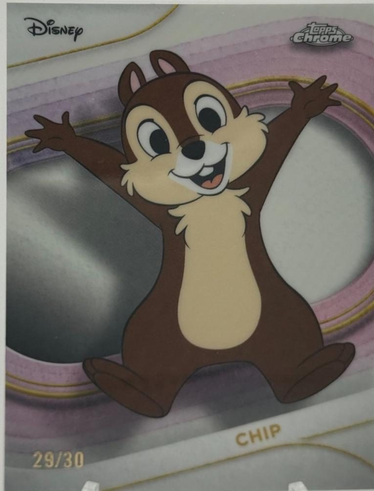 Chip