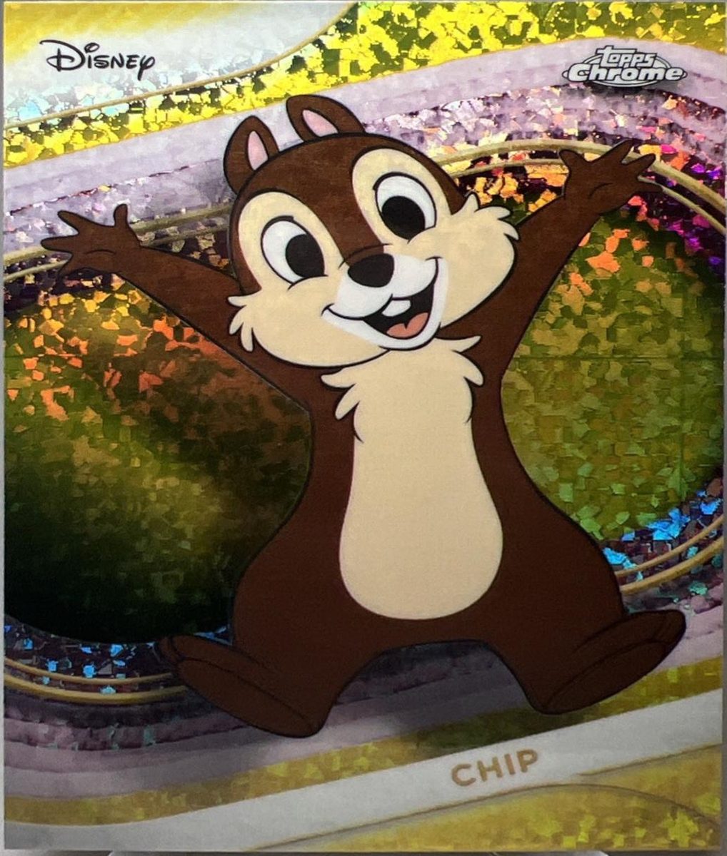 Chip