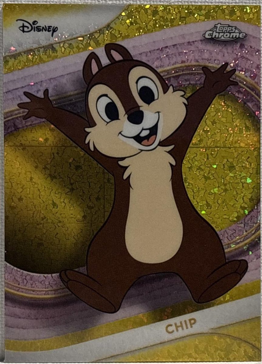 Chip
