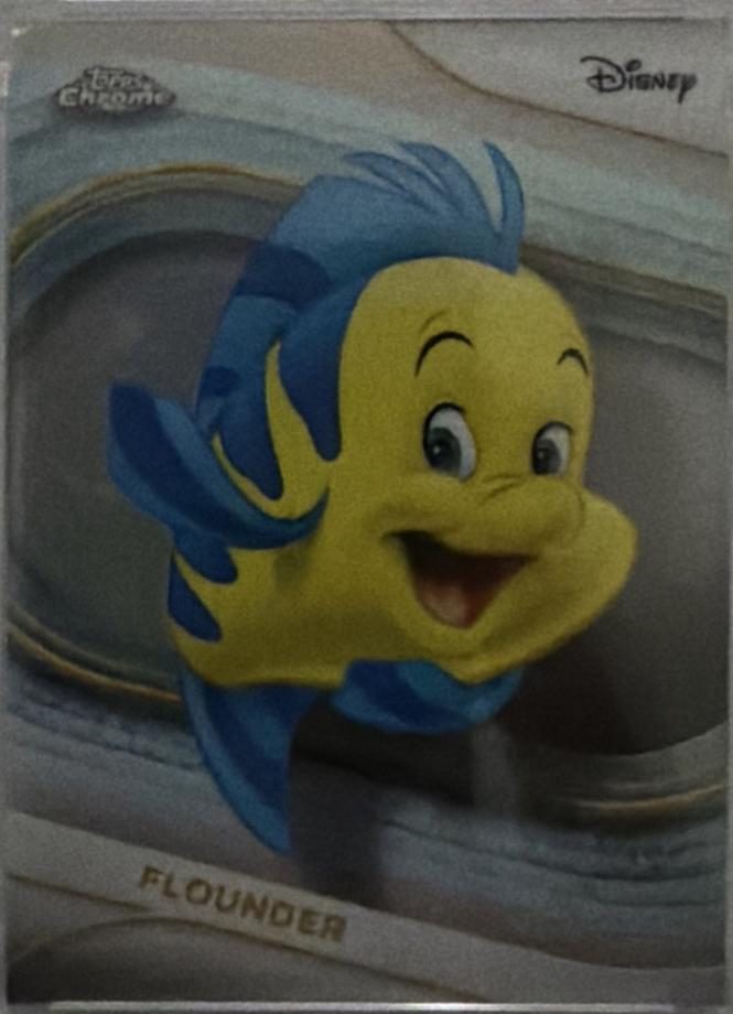 Flounder