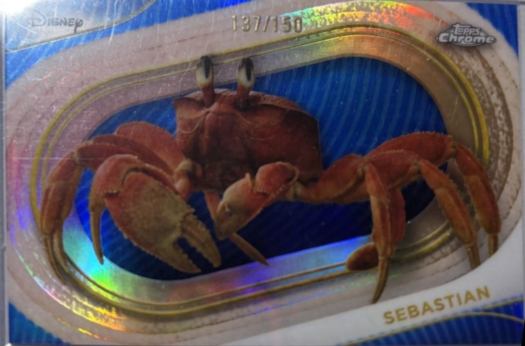Sebastian