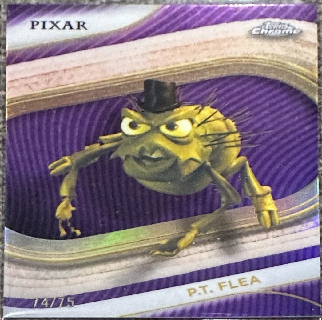 P.T. Flea