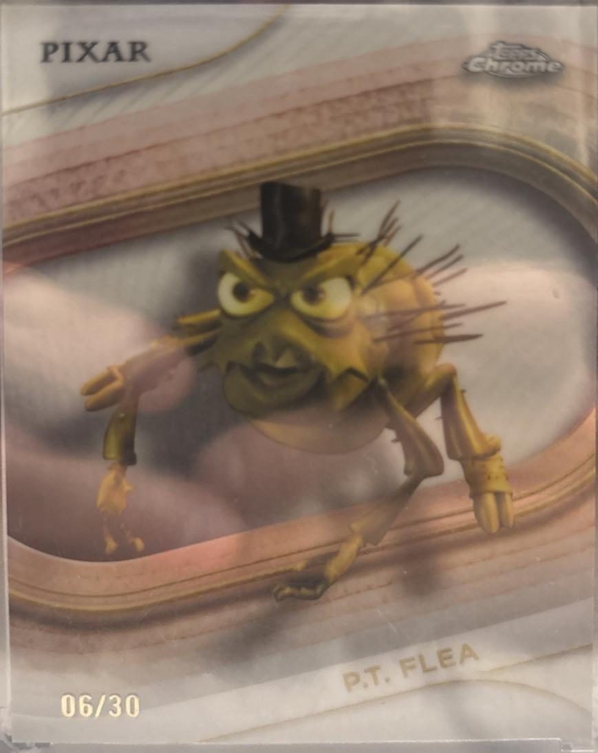 P.T. Flea