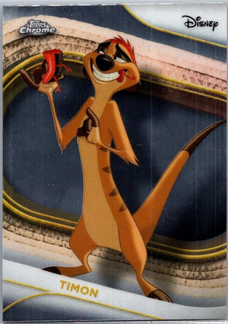 Timon