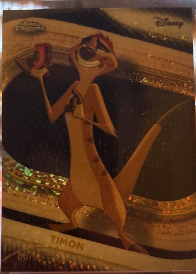 Timon