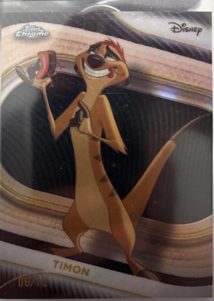 Timon