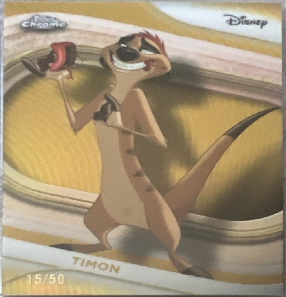 Timon