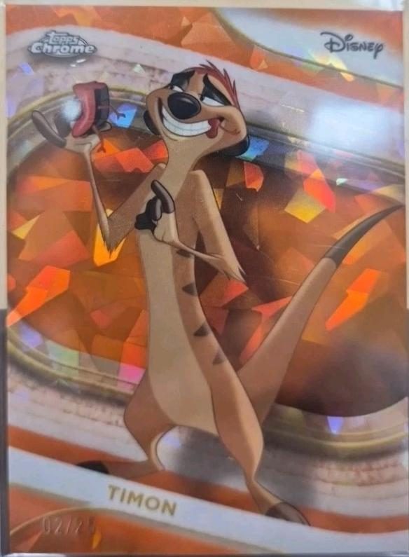 Timon