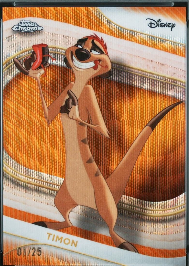 Timon