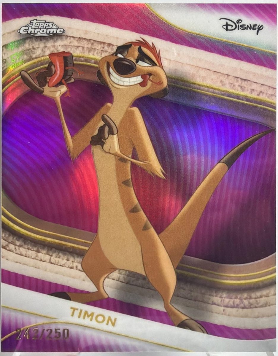 Timon