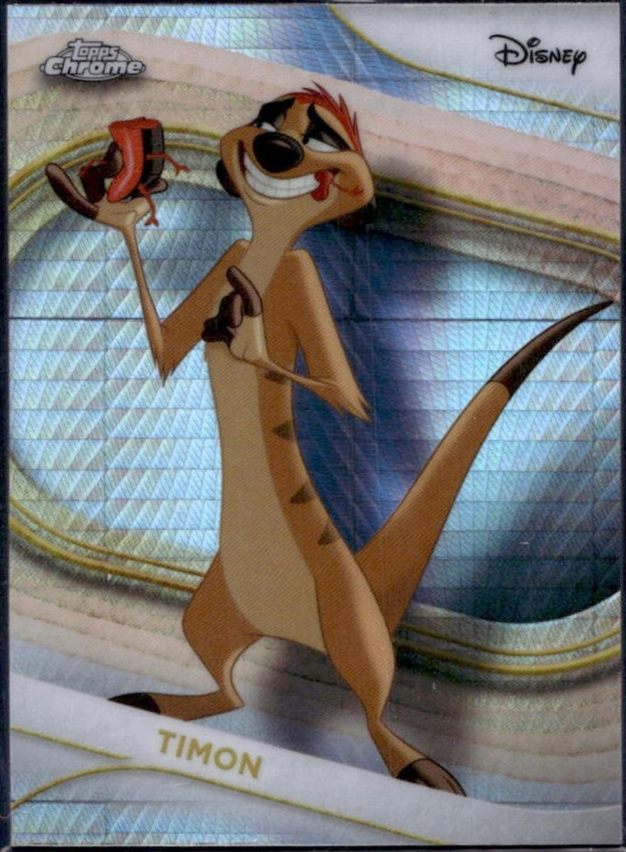 Timon