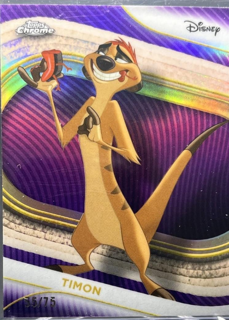 Timon