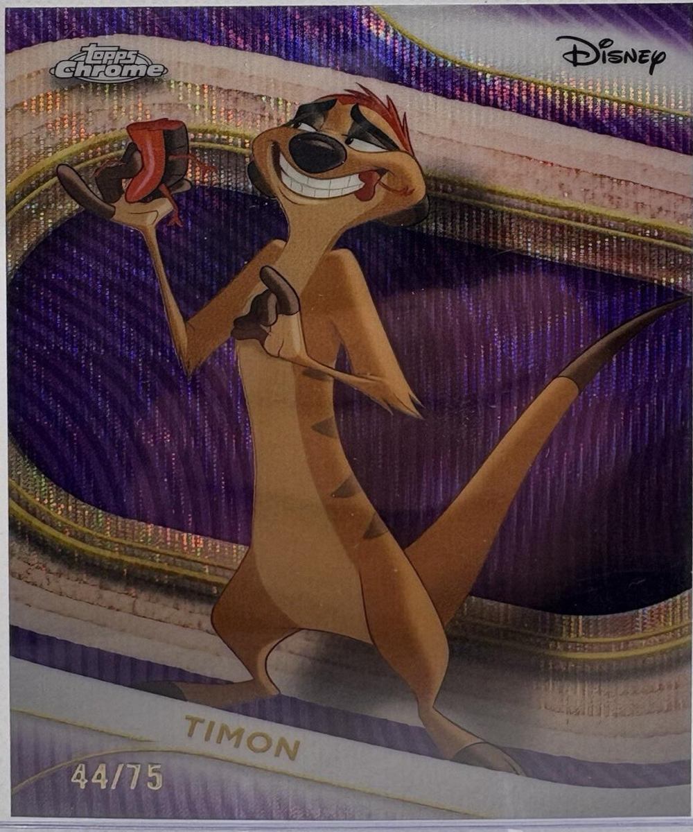 Timon