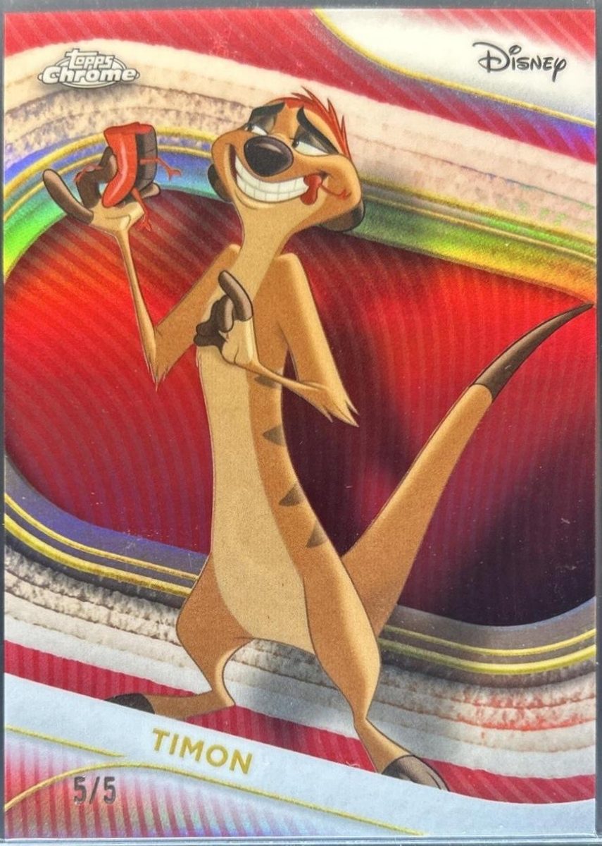 Timon