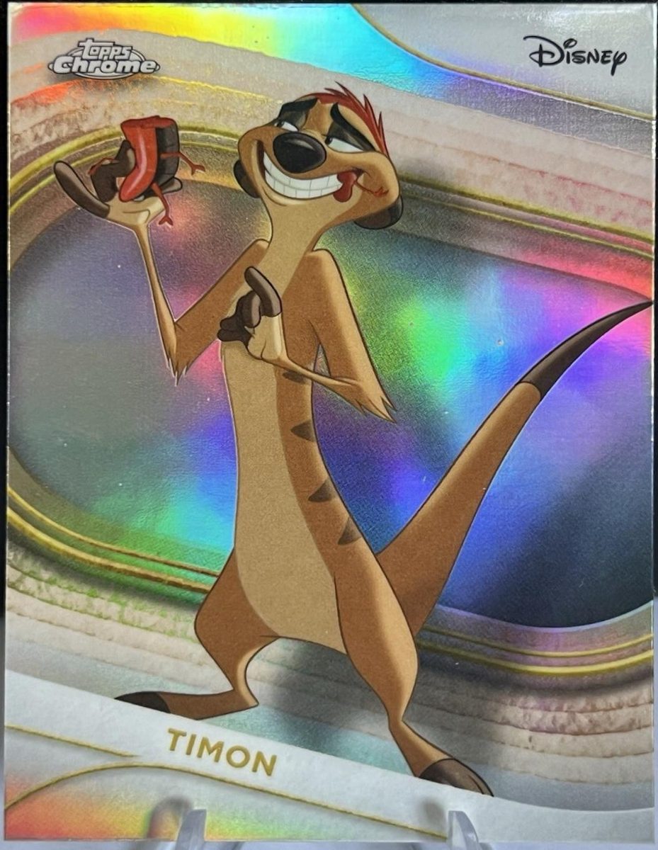 Timon