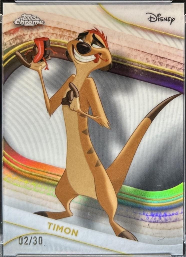 Timon