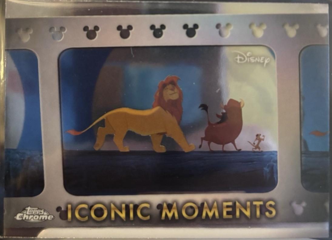 Hakuna Matata The Lion King