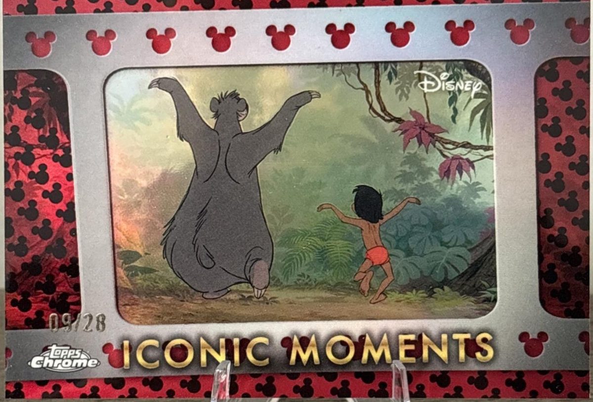 The Bare Necessities The Jungle Book