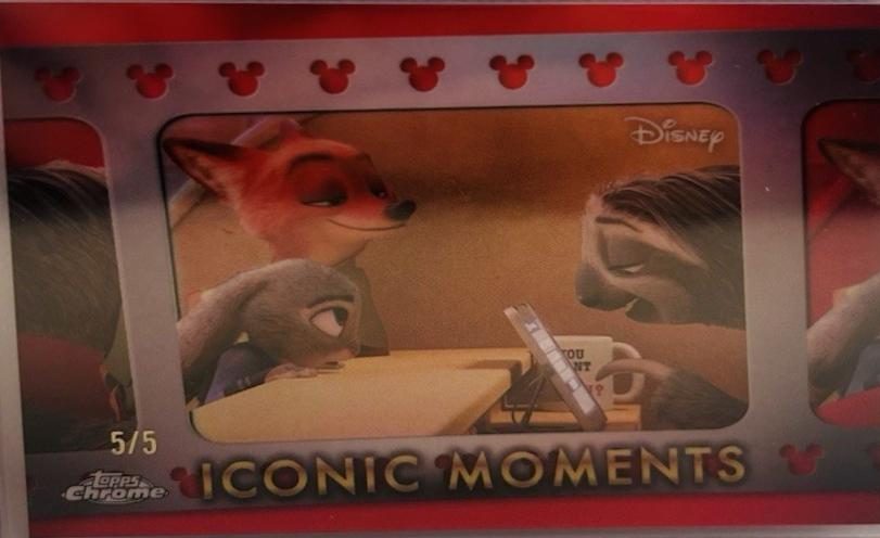 Navigating the DMV Zootopia