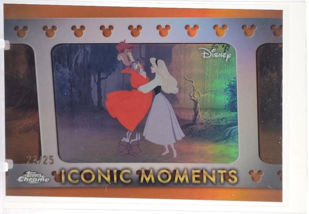 Once Upon a Dream Sleeping Beauty