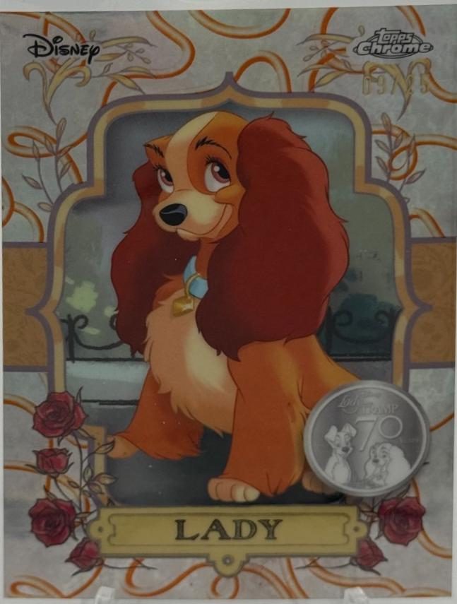 Lady