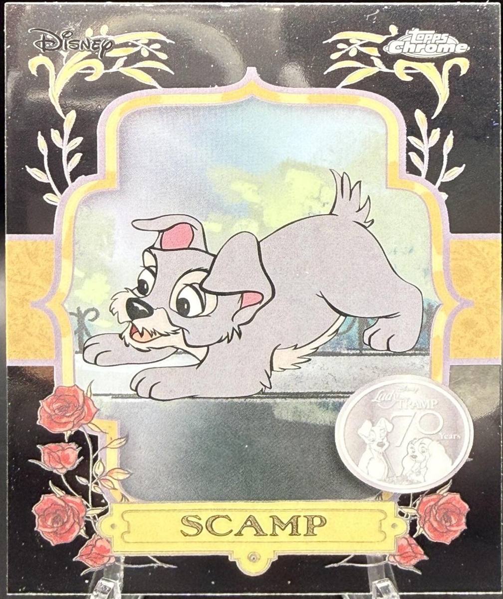 Scamp