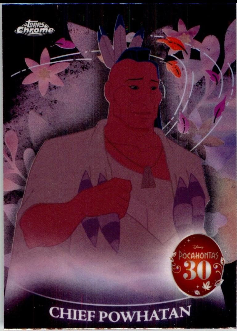 Chief Powhatan
