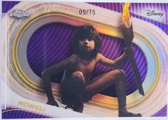 Purple Refractor