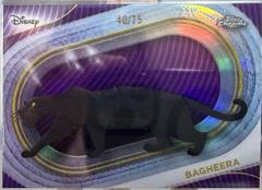 Purple Refractor