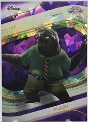 Purple Refractor