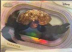 Refractor